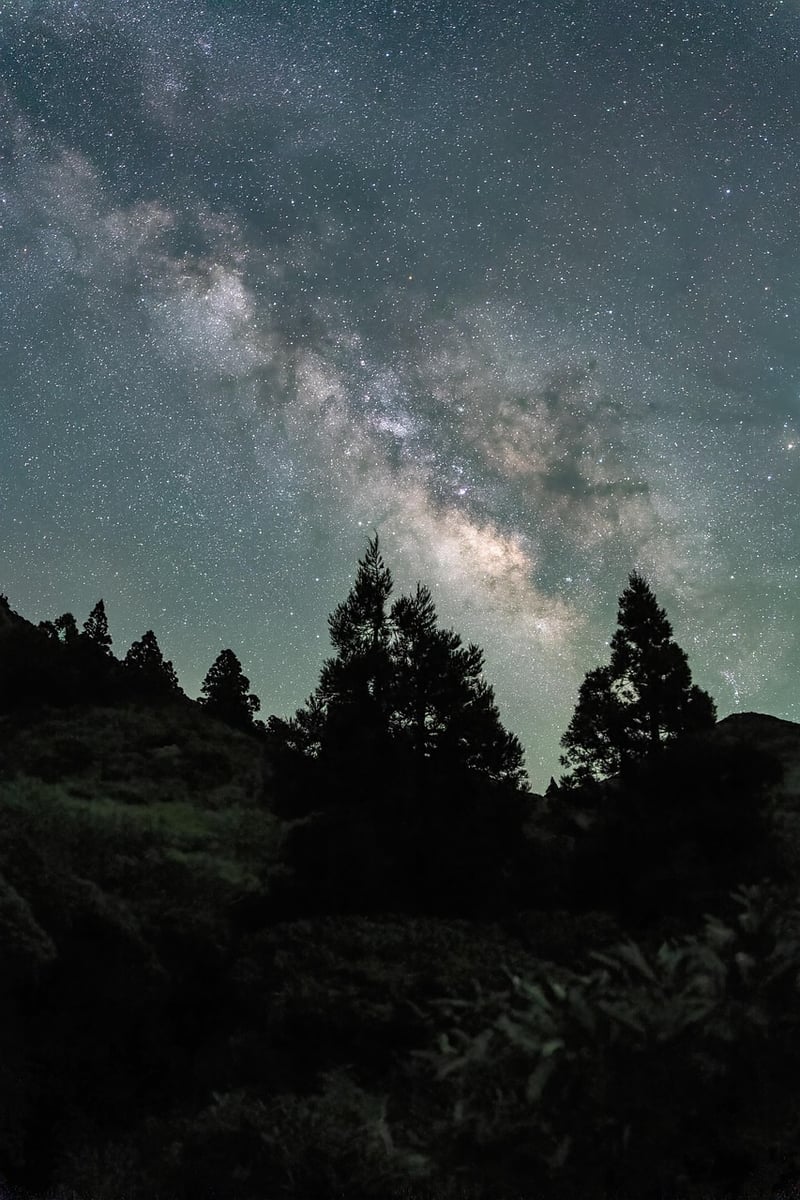 Milky Way over a wilderness landscape